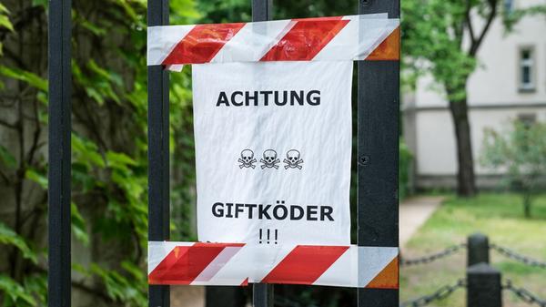 Hund vor Giftködern schützen