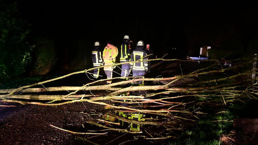 Nordrhein-Westfalen, Krefeld: Einsatzkräfte der Feuerwehr räumen einen durch das Sturmtief «Ylenia» umgestürzten Baum von der Straße.