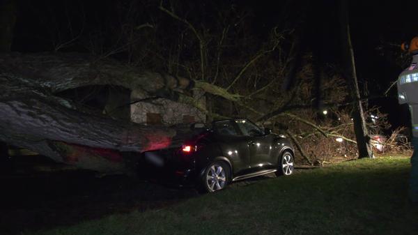 Berlin: Ein massiver Baum ist während des Sturmtiefs "Ylenia" auf mehrere Autos gefallen. Umgestürzte Bäume, lose Dachziegel, abgesagte Flüge und verspätete Züge: Sturmtief «Ylenia» hat zunächst vor allem den Norden und Osten Deutschlands getroffen. Die Feuerwehren und Polizeileitstellen berichteten am frühen Donnerstagmorgen von zahlreichen Einsätzen, größere Schäden blieben vorerst aber aus.