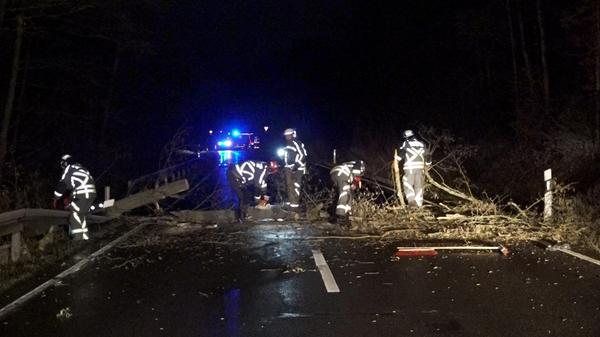 In den frühen Morgenstunden des Donnerstags (16.02.2022) soll der Orkan "Ylenia" auf Deutschland treffen. Der Deutsche Wetterdienst warnt auch in Bayern vor Sturmböen, die eine Windgeschwindigkeit von bis zu 85 km/h erreichen können. Die Einsatzkräfte stellen sich unterdessen auf einsatzreiche Stunden am Morgen ein. Bäume können entwurzelt werden und Gegenstände umherfliegen.
