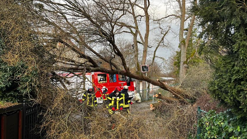 In einem Oberasbacher Wohngebiet knickte am Donnerstag ein Baum um und traf ein geparktes Auto. Verletzt wurde niemand. Die Einsatzkräfte rückten mit einer Motorsäge an.