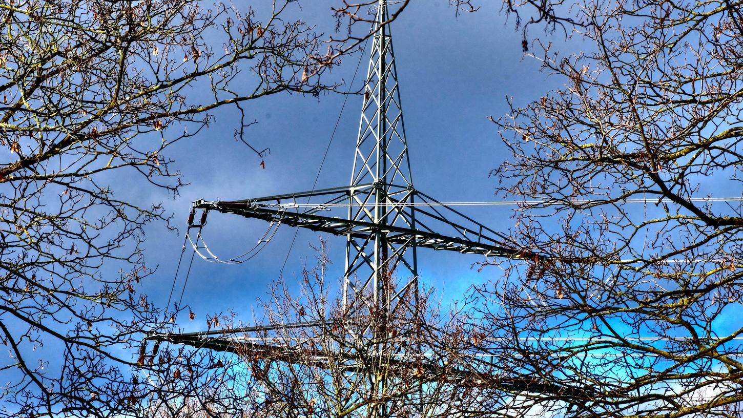 Vielerorts stehen Bäume in direkter Nachbarschaft zu Stromleitungen. Nach einem Sturm, wie die Region ihn in den vergangenen Tagen erlebt hat, kann es immer noch passieren, dass Bäume umknicken.