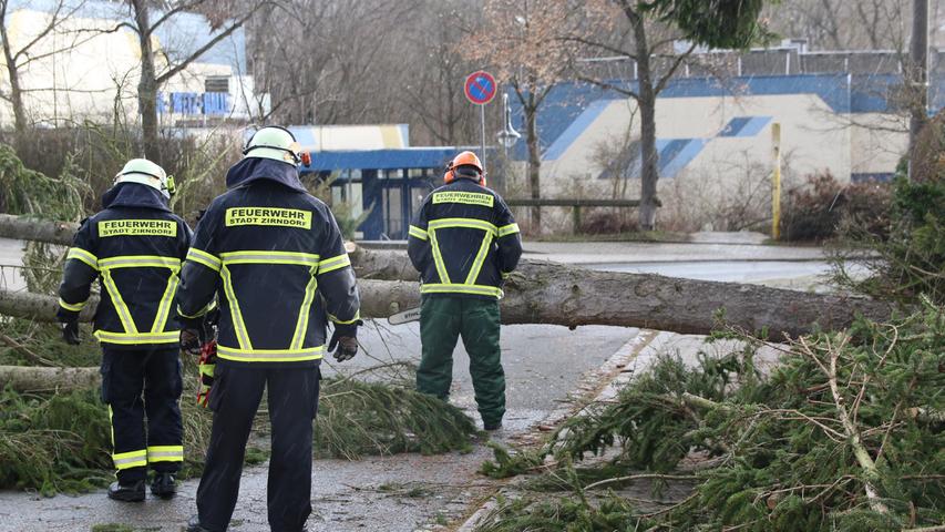 Auch in der Zirndorfer Schwalbenstraße musste ein Baum beseitigt werden.