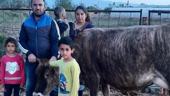 Mit Rat, Tat und Kuh: Sulzbürger unterstützen abgeschobene armenische Familie