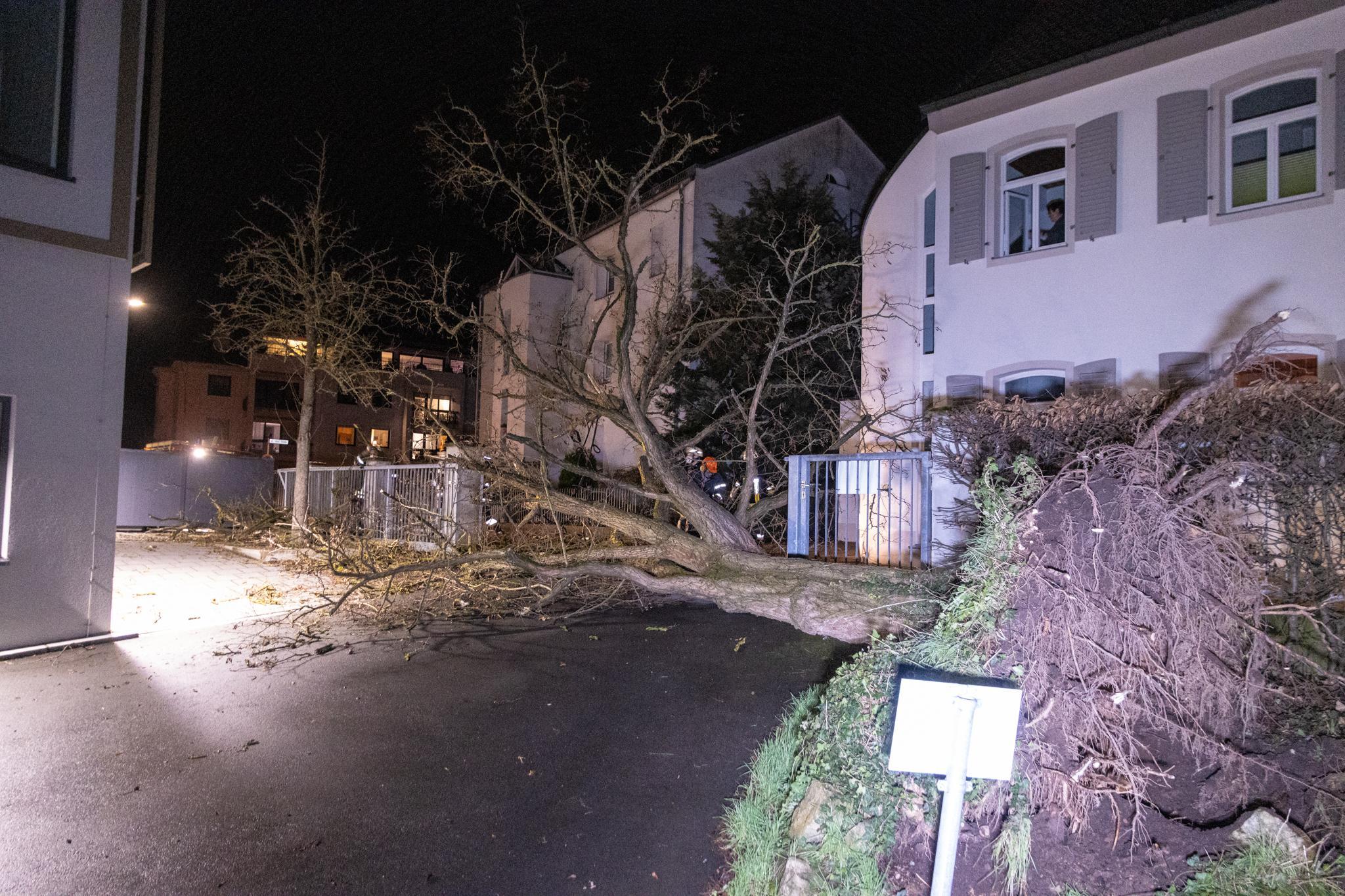 Orkantief "Zeynep" sorgt für erste Schäden in Bayern