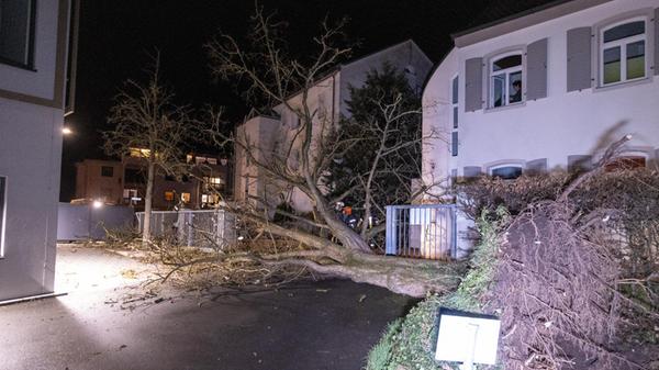 Orkantief "Zeynep" sorgt für erste Schäden in Bayern