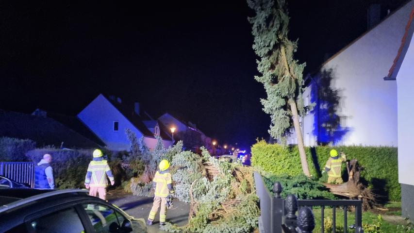 So wütete Zeynep in Franken - Bilder aus der Sturmnacht