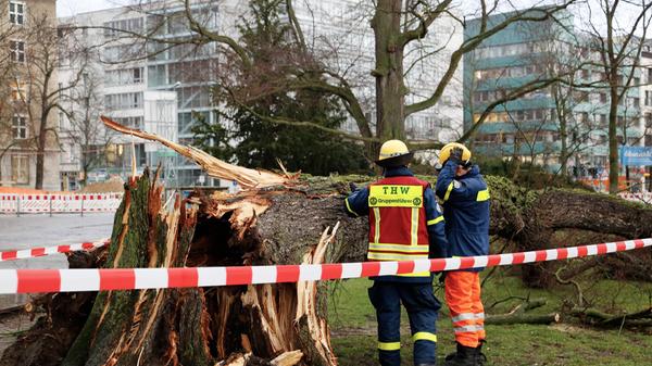 News Bilder des Tages Das Technische Hilfswerk (THW) bei Aufräumarbeiten eines umgestürzten Baumes durch den Sturm am 17