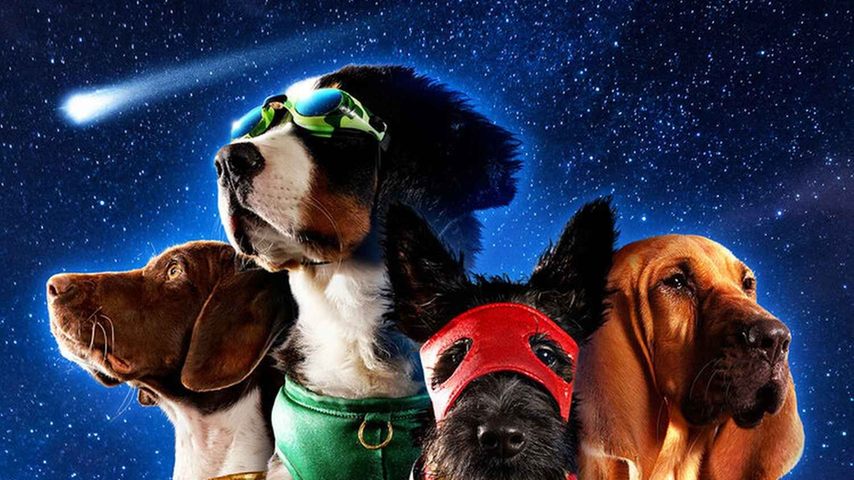 Am 31. März startet bei Netflix eine neue Serie mit vier Welpen mit Superkräften. Für die "Super PupZ" gilt es, die Kräfte zu bündeln, um ihren menschlichen Freunden und einem netten Alien beizustehen. Keine Angabe zur Altersfreigabe verfügbar. 
