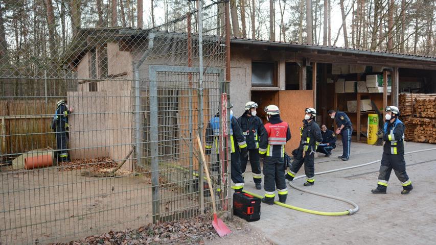 Alarm im Tiergarten: Feuer bricht in Stall aus - Kronenkraniche retten sich selbst ins Freie