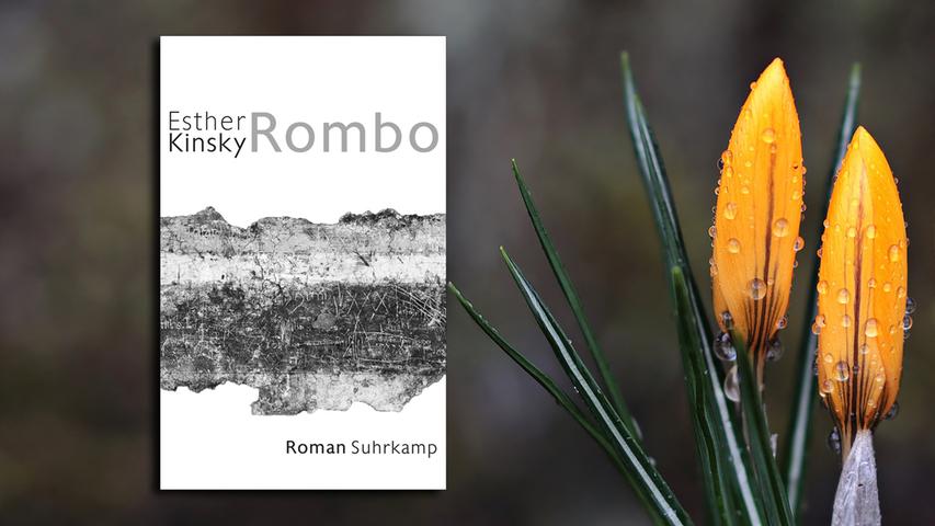 Mit "Rombo" ist Esther Kinsky ein ganz besonderes, bewegend poetisches Buch gelungen. In fiktiven Protokollen setzt sie Stück für Stück die Erinnerungen von sieben Männern und Frauen an die verheerenden Erdbeben von 1976 im Friaul zusammen. Eine Topographie von Schmerz und Verlust, die sie mit kühlen Landschaftsbeschreibungen zu einem vibrierenden Ganzen mischt (Suhrkamp, 24 Euro). Birgit Nüchterlein 