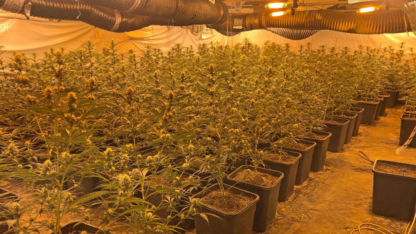 In diesem Wohnhaus wuchs Cannabis mit einem Millionenwert