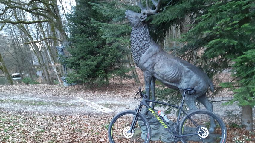 Selbst im Wald sollte man sein Mountainbike nicht unbeaufsichtigt lassen...
