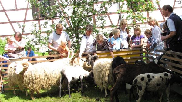 Wie die fränkischen Rinderhirten bis zur Mitte des 20. Jahrhunderts ihren Alltag meisterten und wie stark ein Ochse ist, lässt sich im Deutschen Hirtenmuseum in Hersbruck erfahren. Gezeigt wird neben dem Leben der fränkischen Hirten auch die Hirtenkultur weltweit, wobei viele Mitmachstationen zum Ausprobieren einladen. Das Museum finden Sie im Eisenhüttlein 7 in Hersbruck, weitere Infos unter deutsches-hirtenmuseum.de.