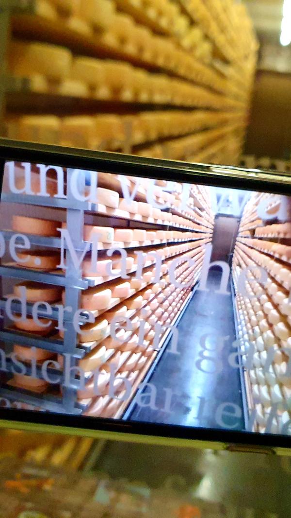 Besuch in der Bio-Sennerei Kaslab´n in Radenthein.