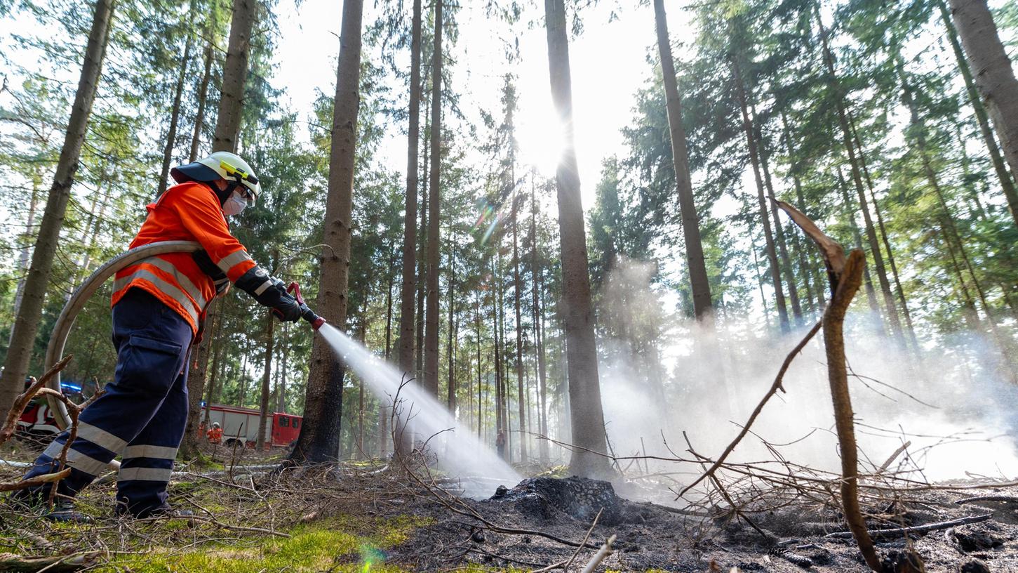 Die Waldbrandgefahr ist im März besonders hoch. Deswegen herrscht in Bayerns Wäldern von März bis Oktober striktes Rauchverbot.