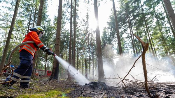 Niedersachsen stellt Feuerwehr für Waldbrände neu auf