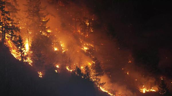 Waldbrand in Tirol