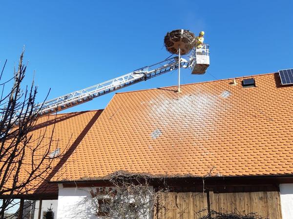 In Gundelshalm hatte der Sturm den Unterbau des Storchennests aus der Verankerung gerissen. Auch hier wurde das Nest ein bisschen eingekürzt und neu fixiert.
In Gundelshalm hatte der Sturm den Unterbau des Storchennests aus der Verankerung gerissen. Auch hier wurde das Nest ein bisschen eingekürzt und neu fixiert.