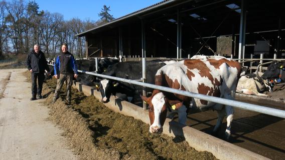 Landwirte im Landkreis Erlangen-Höchstadt profitieren vom gestiegenen Milchpreis nur wenig