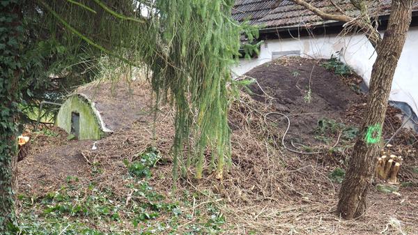 lok-Kellerbuckelhaus