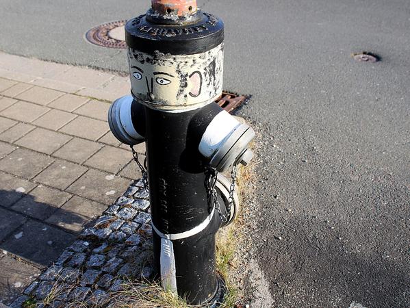 Freiwillige gesucht: Schönheitskur für alte Hydranten-Männchen