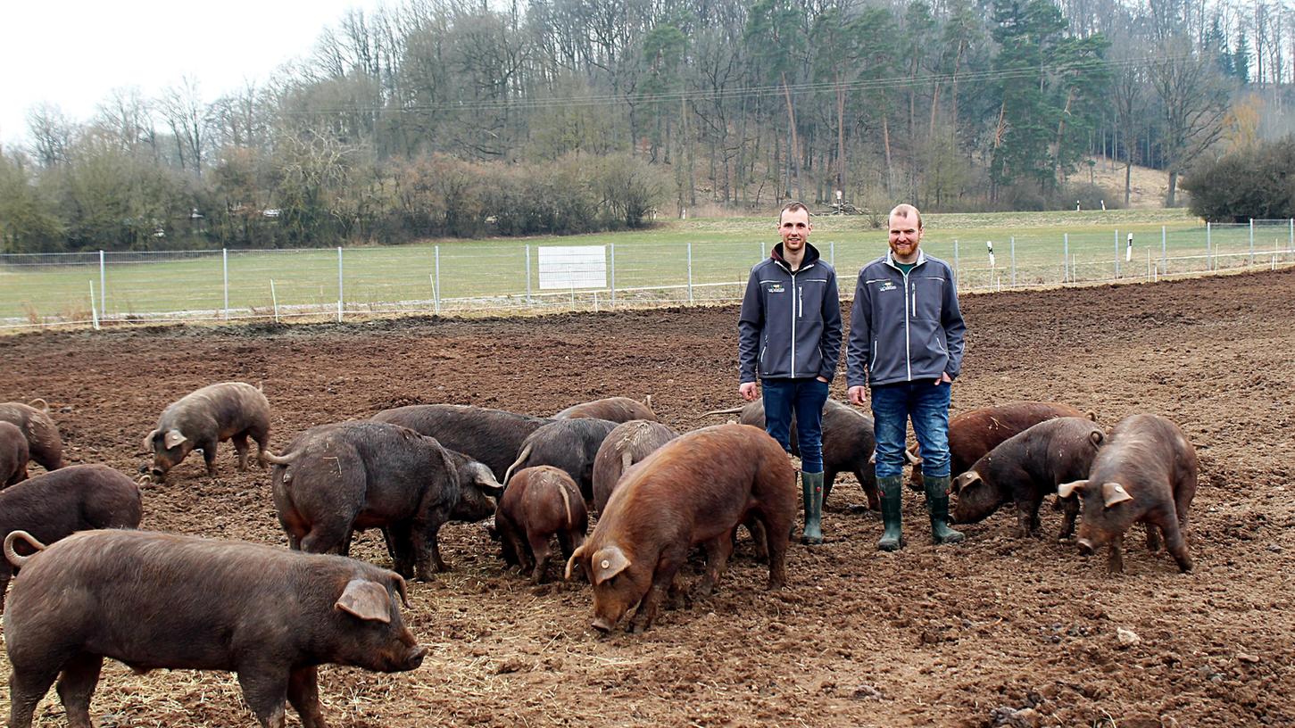 Manuel und Tobias Seitz (links) halten seit einem knappen Jahr Duroc-Schweine in Freilandhaltung. 
