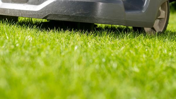 Ein Mähroboter auf einem Rasen.