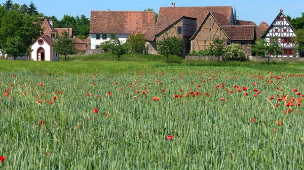 Ins Museum gehen viele Leute bevorzugt bei schlechtem Wetter. In Bad Windsheim ist diese ungeschriebene Regel jedoch außer Kraft gesetzt: Das fränkische Freilandmuseum eignet sich insbesondere an schönen Tagen und in der warmen Jahreszeit für einen Besuch. Es bietet über 100 weitgehend originalgetreu errichtete Mühlen, Brauereien, Bauernhöfe und viele weitere Gebäude. Noch bis zum 25. Oktober 2025 hat das Freilandmuseum wieder seine Pforten geöffnet. Vom Bahnhof ist es einen guten Kilometer zu Fuß entfernt. Die Anreise ab Nürnberg dauert mit Umstieg in Neustadt/Aisch in der Regel etwas weniger als 55 Minuten und ist stündlich möglich. Alternativ kann über Ansbach und Steinach gefahren werden - dann ist man allerdings länger unterwegs.