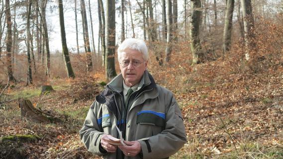 35 Jahre im Forstdienst: Wie Orkane, Hitze und Schädlinge den Wald verändert haben