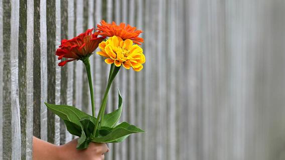 Sag es durch die Blume: Die Bedeutung von Blumen