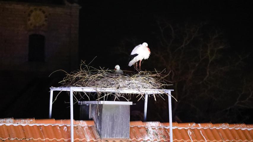 Ein weiteres Storchenpaar beobachtete von seinem Nest aus nächster Nähe den Feuerwehreinsatz