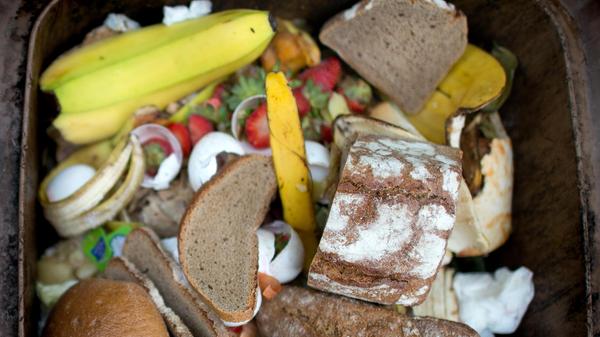 Küchenabfälle wie Obst- und Gemüseabfälle, Eierschalen, Kaffee- und Teefilter, Teebeutel, pflanzliche Speisereste und Käse dürfen in den Biomüll. Diese fördern die Entstehung eines hochwertigen Kompostes und ziehen kaum Schädlinge und Insekten an. Tierische Abfälle müssen im Restmüll entsorgt werden.