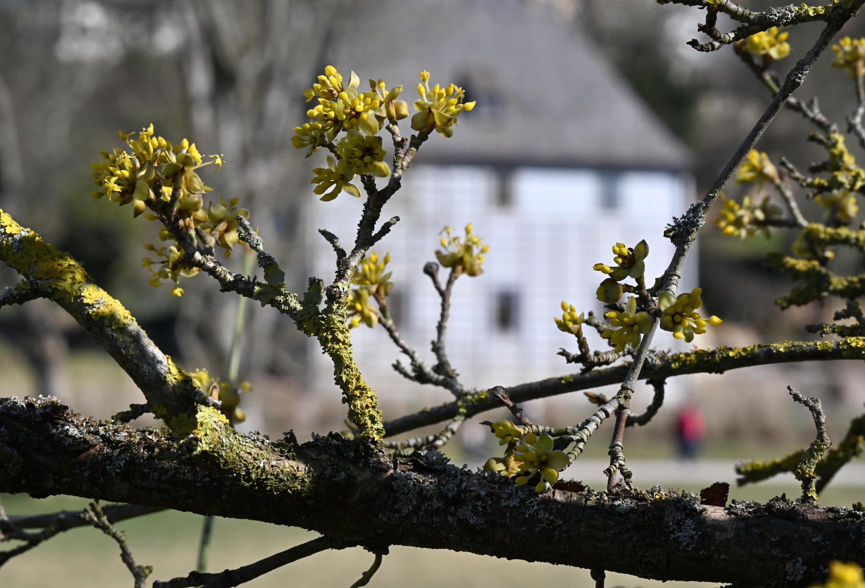 Nur noch 11 Grad: Die letzten Sonnentage vor dem Wetterumschwung – Region