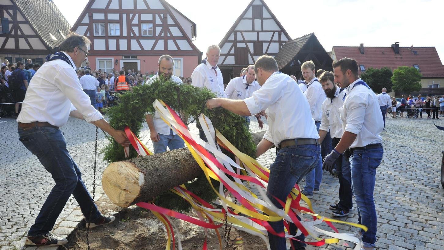 Schwitzen beim Aufstellen des Kärwabaumes - das heißt es im Sommer hoffentlich auch wieder in Roßtal.