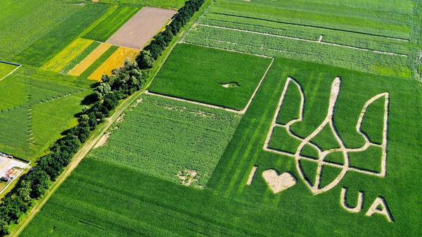 VELYKA OLEKSANDRIVKA, UKRAINE - JULY 9, 2021 - An aerial image shows Ukraine s largest tryzub (the main element of the