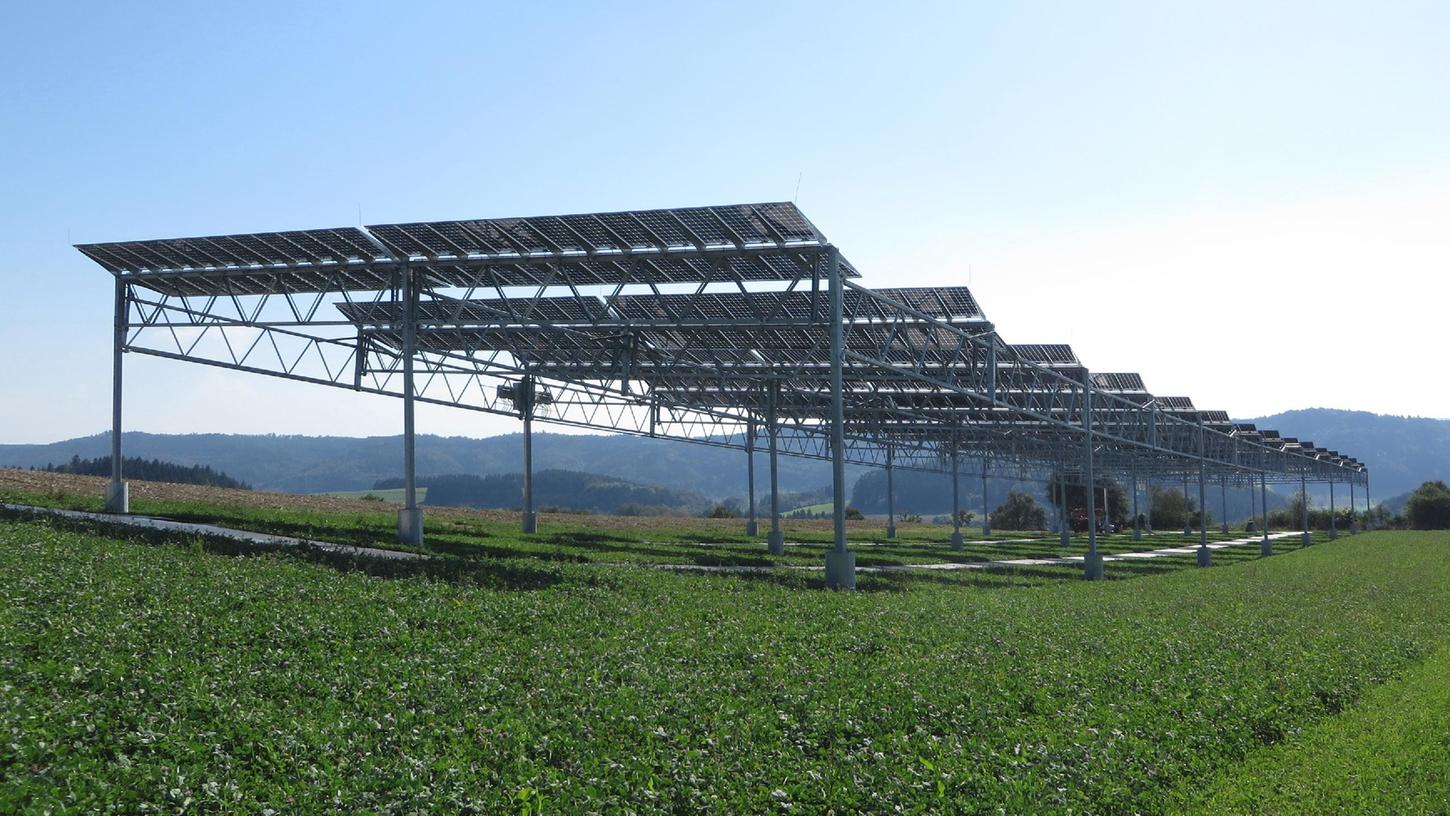 Agri-PV erlaubt eine landwirtschaftliche Nutzung unter den  Solarpanels -  so wie hier auf dem Gelände der Demeter-Hofgemeinschaft in Heggelbach.