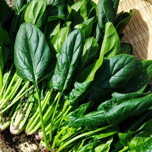 weitere interessante Themen: