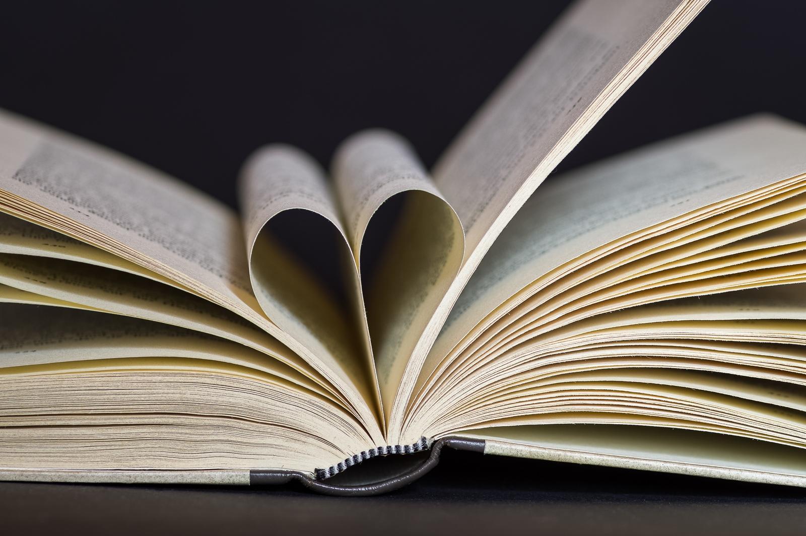 Ein herziges Verhältnis zum Buch - im Bild festgehalten.