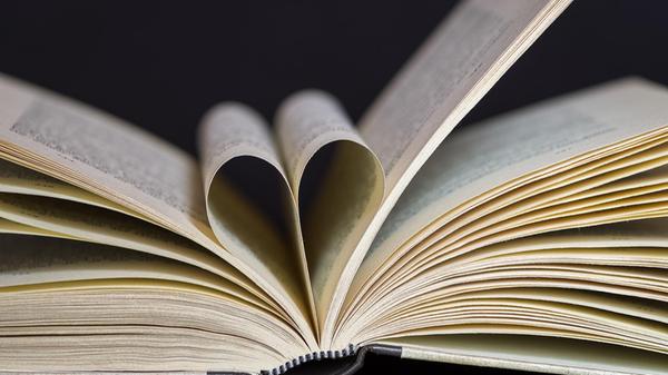 Ein herziges Verhältnis zum Buch - im Bild festgehalten.