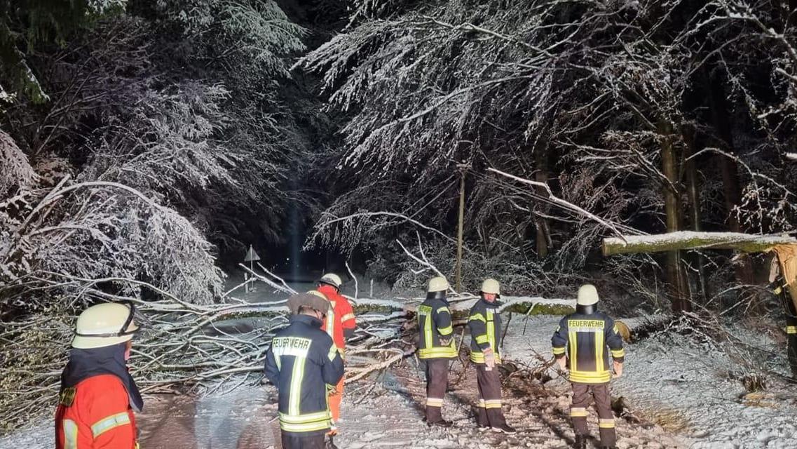 Ein Baum stürzte um und landete auf der Straße. Die Feuerwehr Gößweinstein rückte aus. Elf Einsätze forderten wegen des Wintereinbruchs die Einsatzkräfte.  