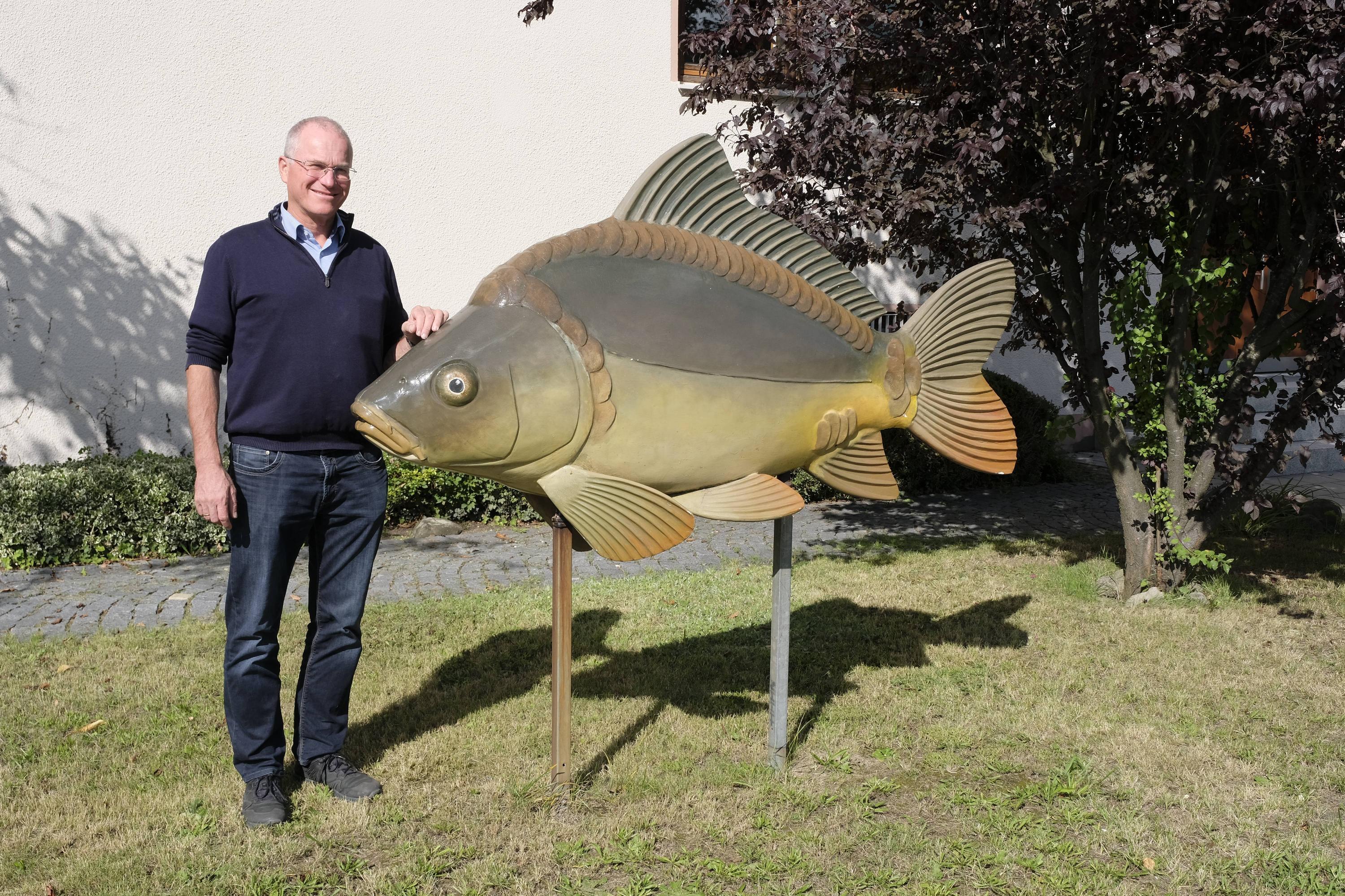 Das Angebot an Karpfen im Raum Erlangen ist knapp Höchstadt, Erlangen