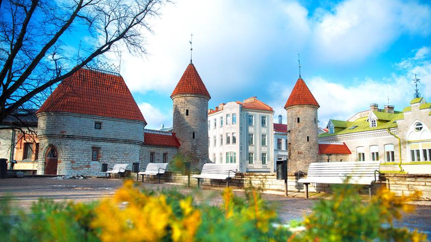 Für alle, die bisher noch nicht in Estland waren, wie wäre es mit einem Trip nach Tallinn? Die schöne Hauptstadt Estlands liegt an der Ostsee und ist das kulturelle Zentrum des Landes. 