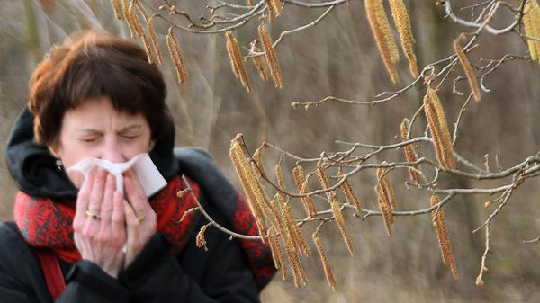 Anzeiger-Heuschnupfen