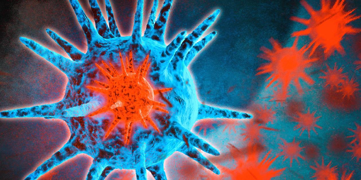 Reinfektion mit dem CoronaVirus So oft ist eine Ansteckung möglich