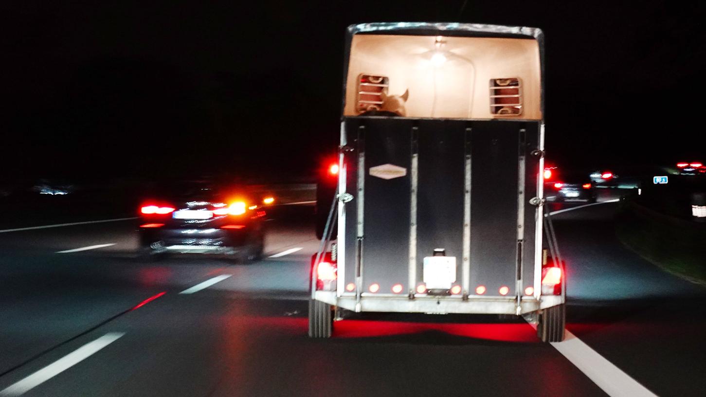 In voller Fahrt befreite sich das Pferd aus dem Anhänger. In voller Fahrt befreite sich das Pferd aus dem Anhänger.