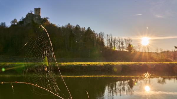 Sonnenuntergang mit Fluss und Spinne. Im Hintergrund thront die Burgruine Neideck.
