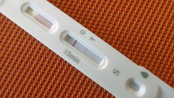 imago images 155128235