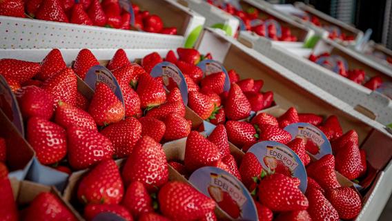Mit diesen Tricks erkennen Sie die besten Erdbeeren im Supermarkt