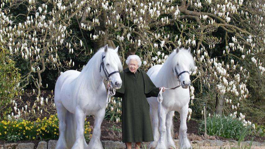 Ihren 96. Geburtstag feiert die Queen im Privaten, der Tag wird aber mit Kanonenschüssen gewürdigt. Anlässlich ihres Ehrentages postete das britische Königshaus ein Bild von der Queen mit zwei ihrer weißen Ponys auf den Sozialen Medien und feierte damit ihre Liebe zu Pferden.